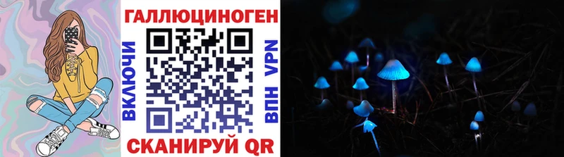 Псилоцибиновые грибы ЛСД  Болотное 